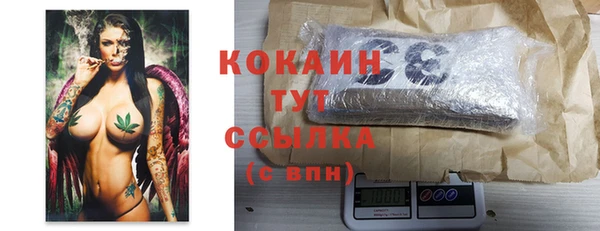 ПСИЛОЦИБИНОВЫЕ ГРИБЫ Абаза