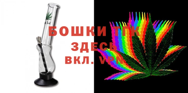 ПСИЛОЦИБИНОВЫЕ ГРИБЫ Абаза