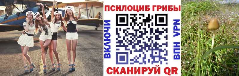 Галлюциногенные грибы MAGIC MUSHROOMS  где можно купить   Стерлитамак 