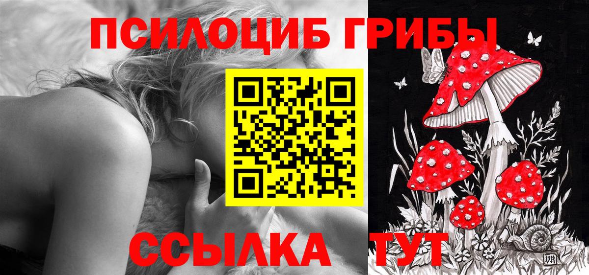 Стерлитамак  Галлюциногенные грибы мицелий  где найти   Вход с VPN 
